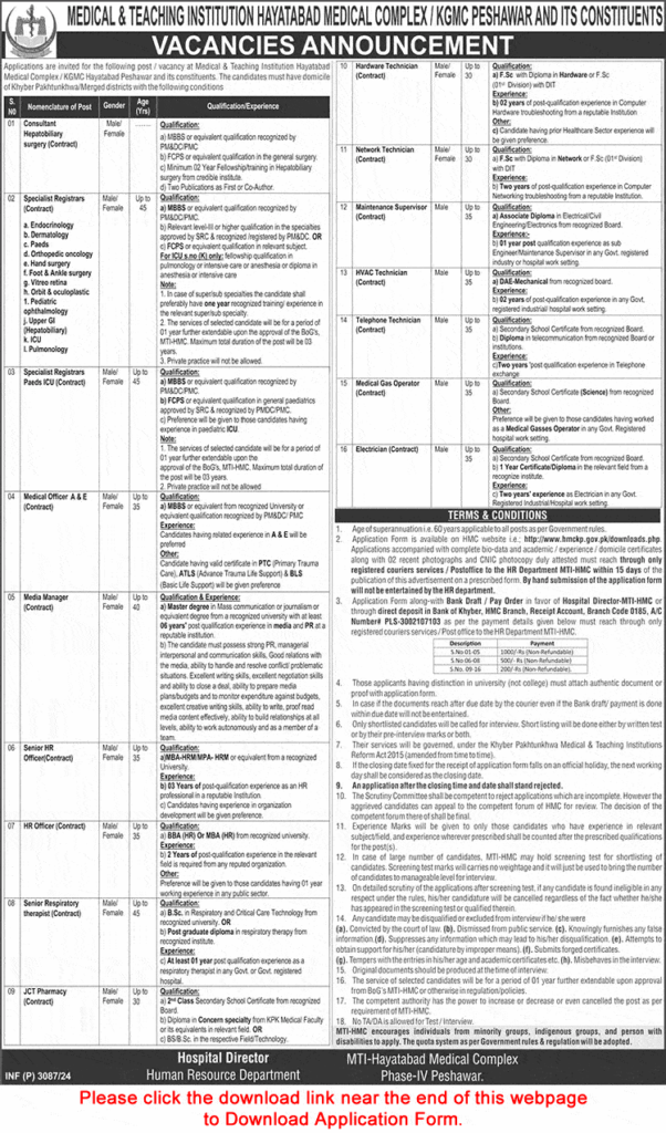 Hayatabad Medical Complex Peshawar Jobs