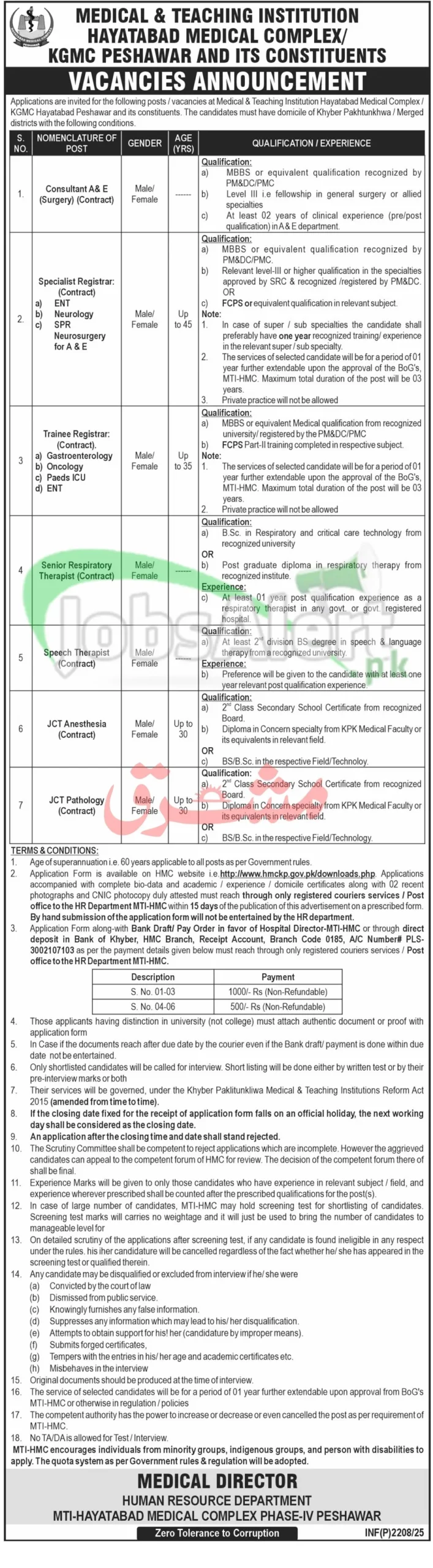 Hayatabad Medical Complex Jobs